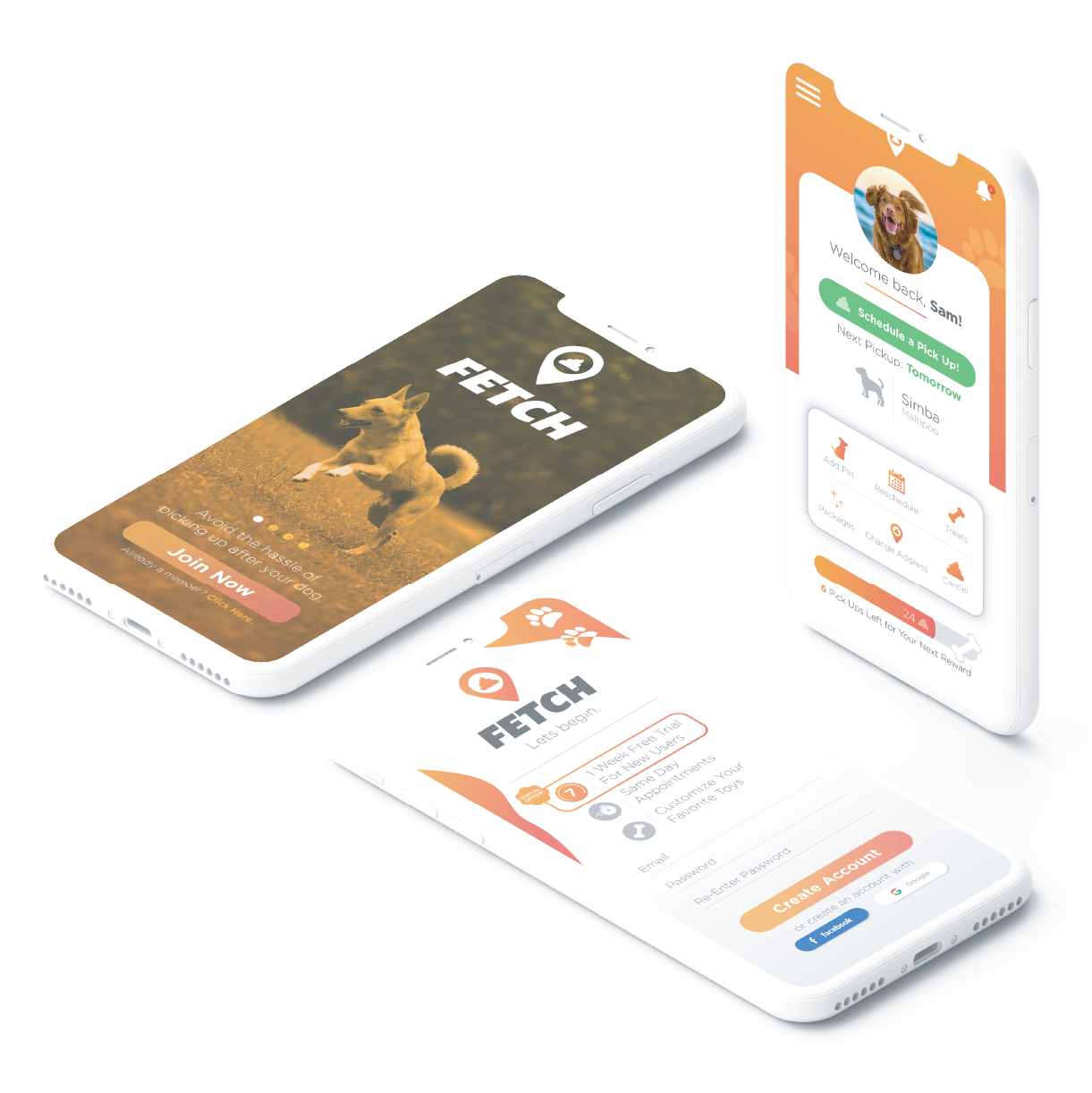 Fetch App DR Designs